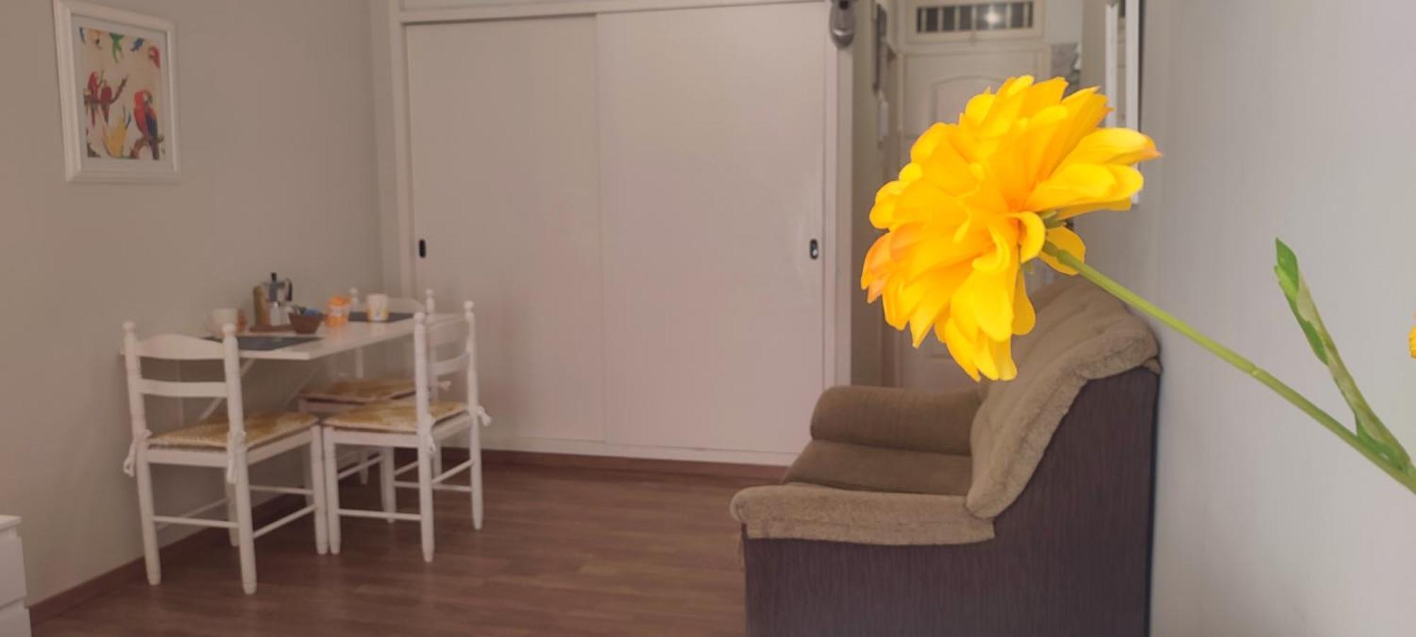 Apartamento Brisa Del Sol Puerto de la Cruz  Exterior foto